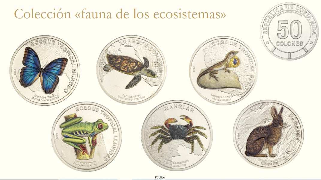 Ya están en circulación las nuevas monedas de media tejita que están super corrongas porque tienen diseños hermosos que destacan la gran riqueza natural de nuestro país. La nueva colección, denominada “Fauna de los ecosistemas”, consta de 6 piezas (monedas) para presentar especies de nuestra biodiversidad: la mariposa morfo (bosque tropical nuboso), la rana calzonuda (bosque tropical lluvioso), la tortuga carey (arrecife coralino), la lagartija o anolis (bosque tropical seco), el cangrejo marinera (manglar) y el conejo de monte (páramo)”.