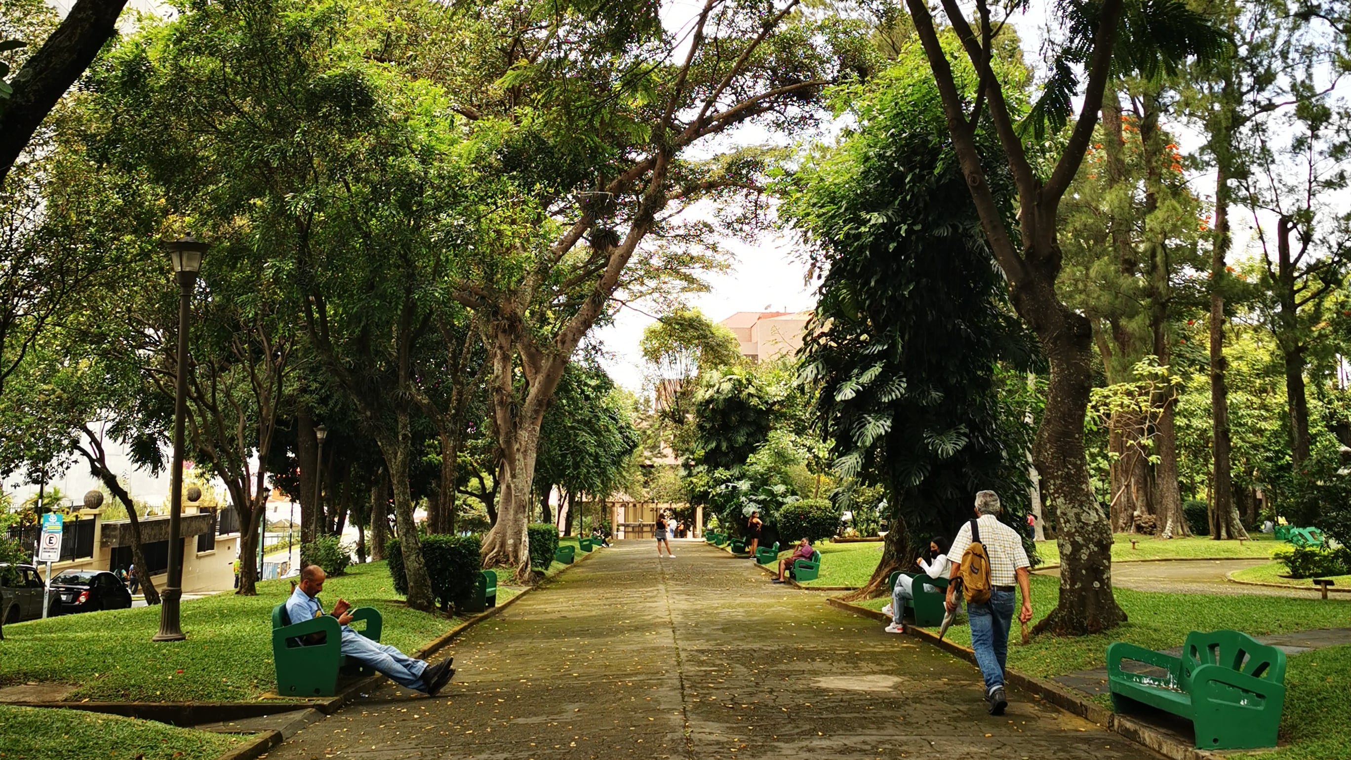Safari de Historia y Naturaleza: En Busca de Aves e Historias de San José es un recorrido a pié que organiza ChepeCletas.