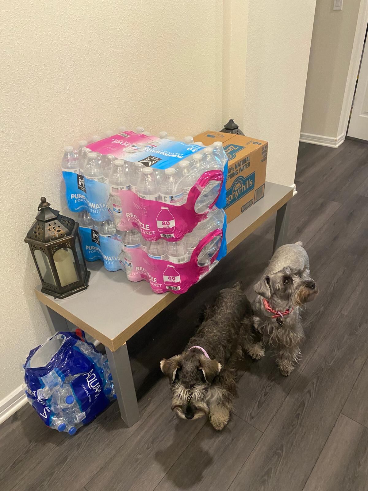 Don Jorge “Coco” Garro, asegura que por donde él vive el huracán Milton solo pasará en categoría 2 y por eso no evacua.