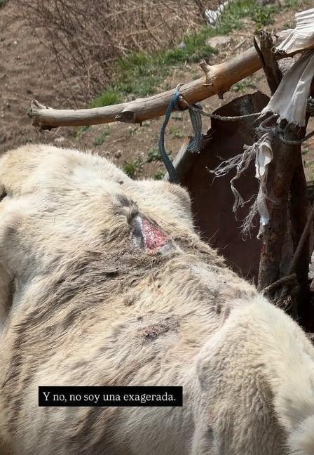 Johanna Solano, presentadora de televisión y exmiss Costa Rica