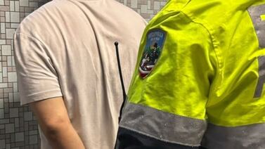 Francés habría matado a dos perros de su inquilino y a uno de estos le dejó puñal incrustado en la cabeza