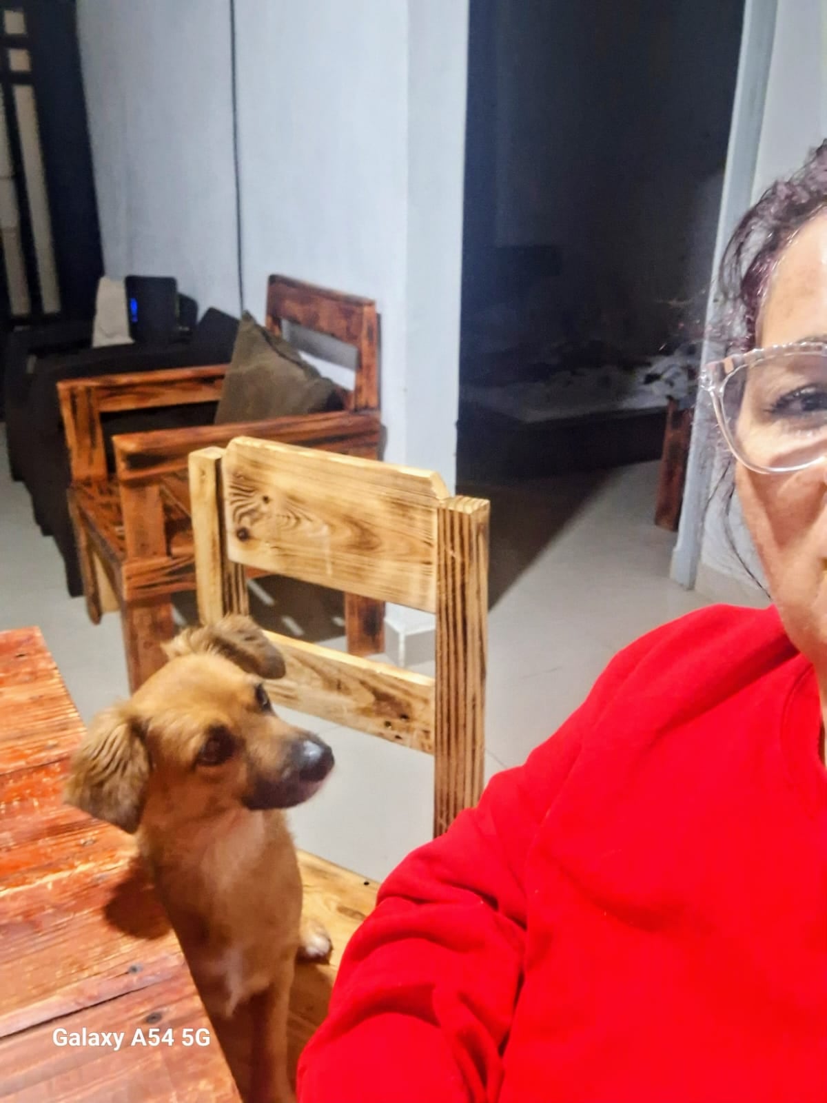 Lazzie Marie es una perra zaguatica que pasó de haber sido botada en un saco toda enferma a ser la luz del hogar de doña Carolina de Franco