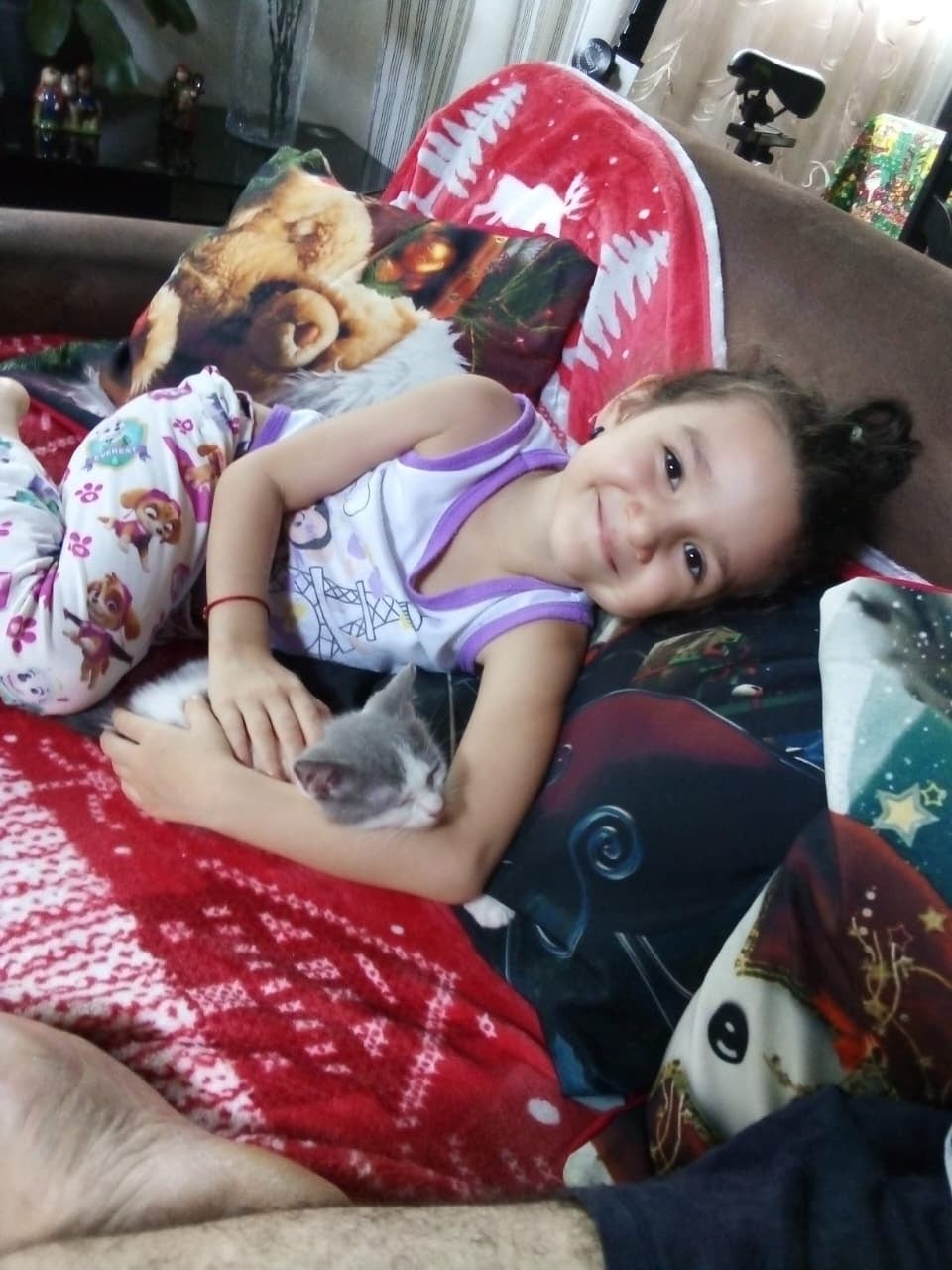 En El Boli de Puntarenas vive una historia de amor puro entre una mujer y su gatita criolla (sin raza, zaguatica si fuese perrita). Valerina llegó a la vida de doña Ivannia Rojas, de 47 años, como un flechazo por internet