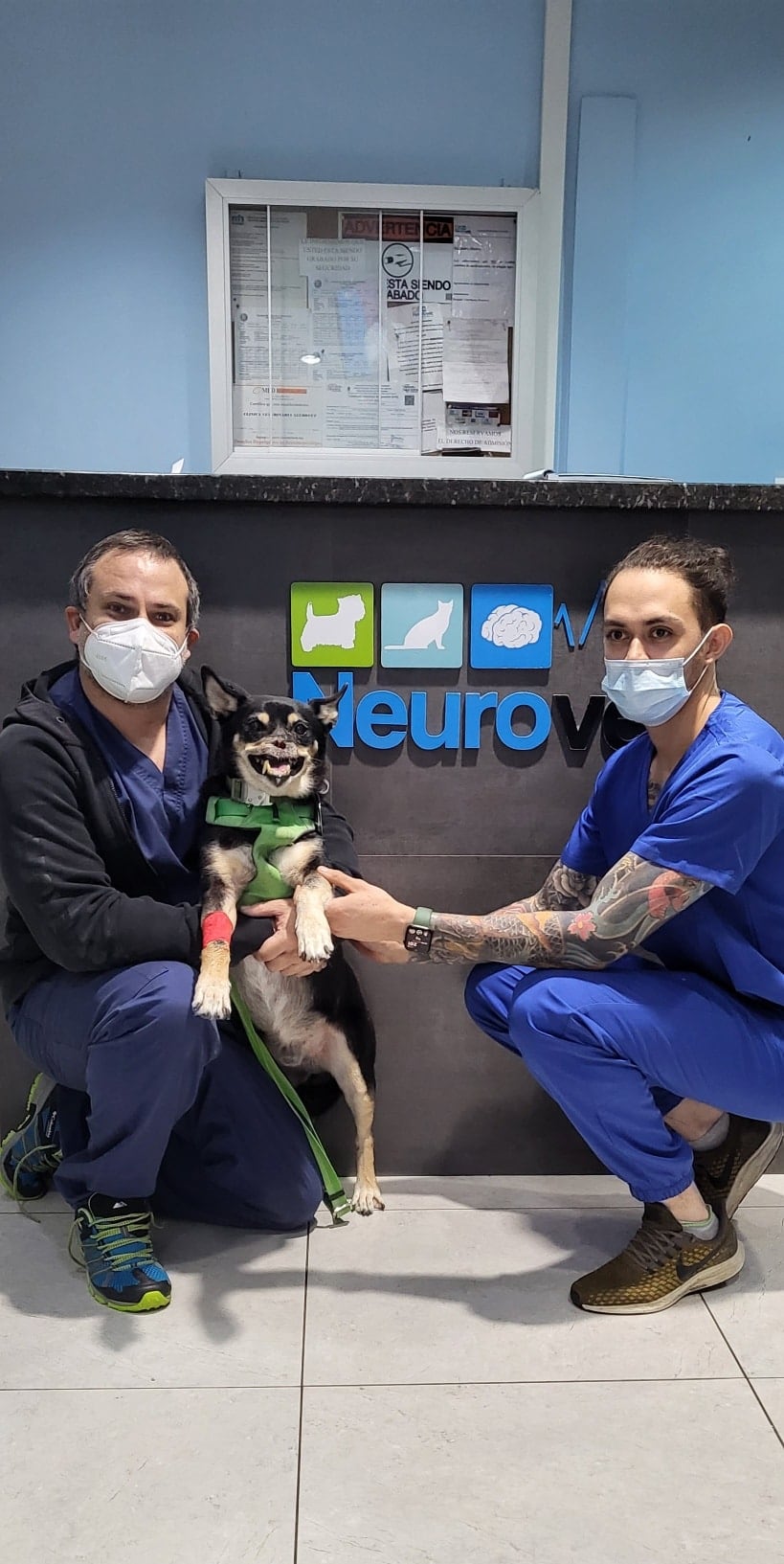 Al zaguatico Duke, símbolo del maltrato animal desde el 2016, se le desarrolló epilepsia, confirmaron los especialistas de la veterinaria Neurovet, después de varios exámenes que le realizaron