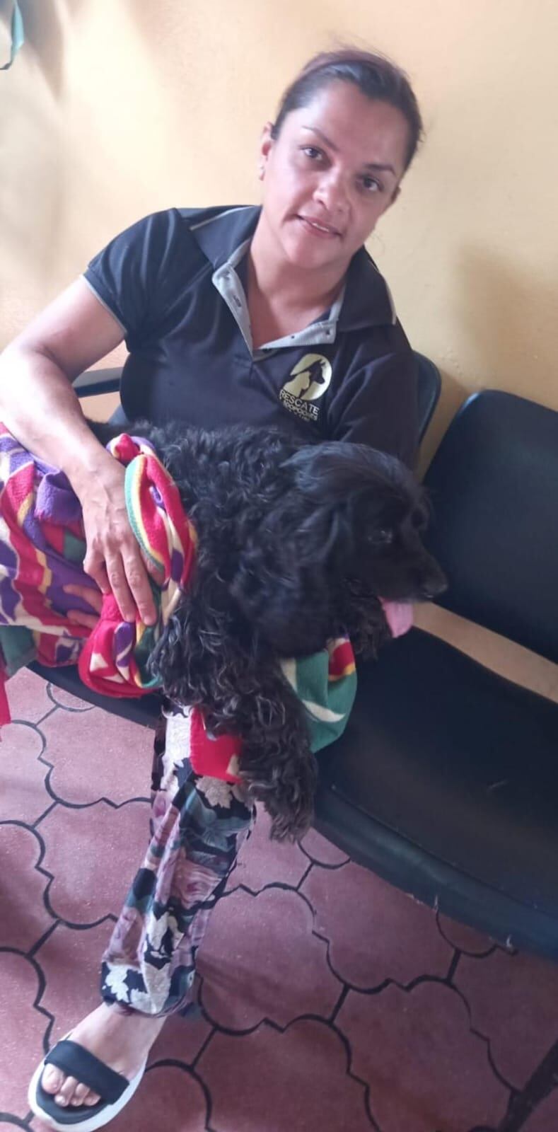 Angie Mora, presidenta Asociacion de Rescate y Adopciones Chicka & Lola