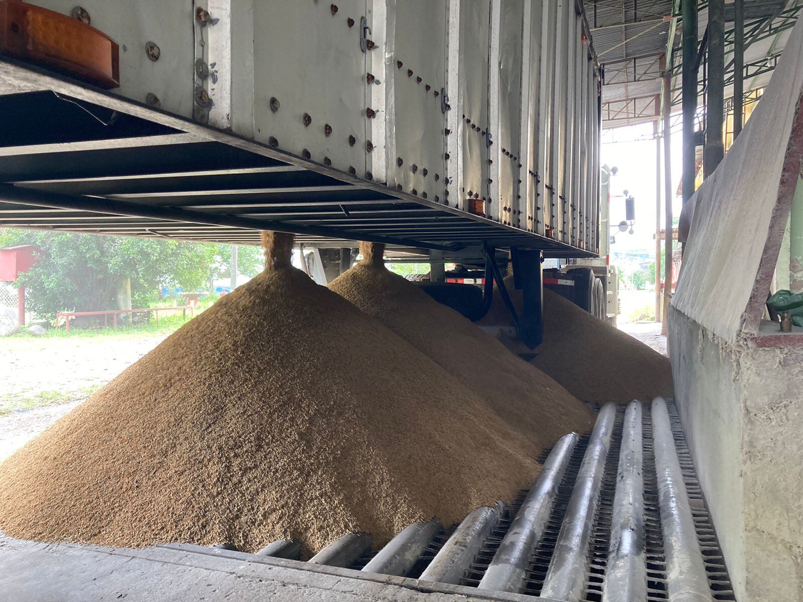 El Consejo Nacional de Producción arrancó el pasado viernes 15 de julio con el proceso de compra a productores nacionales registrados ante la Institución.