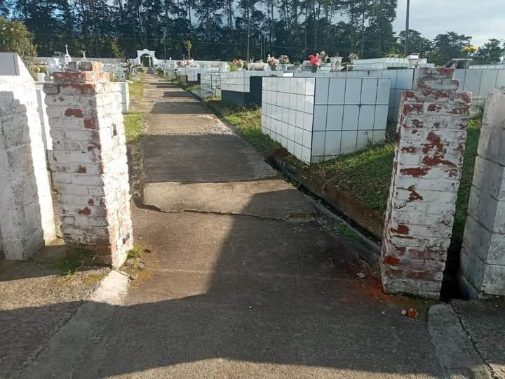 Denuncian daños a tumbas en cementerio de Paraíso de Cartago. Foto suministrada por Fernando Gutiérrez.