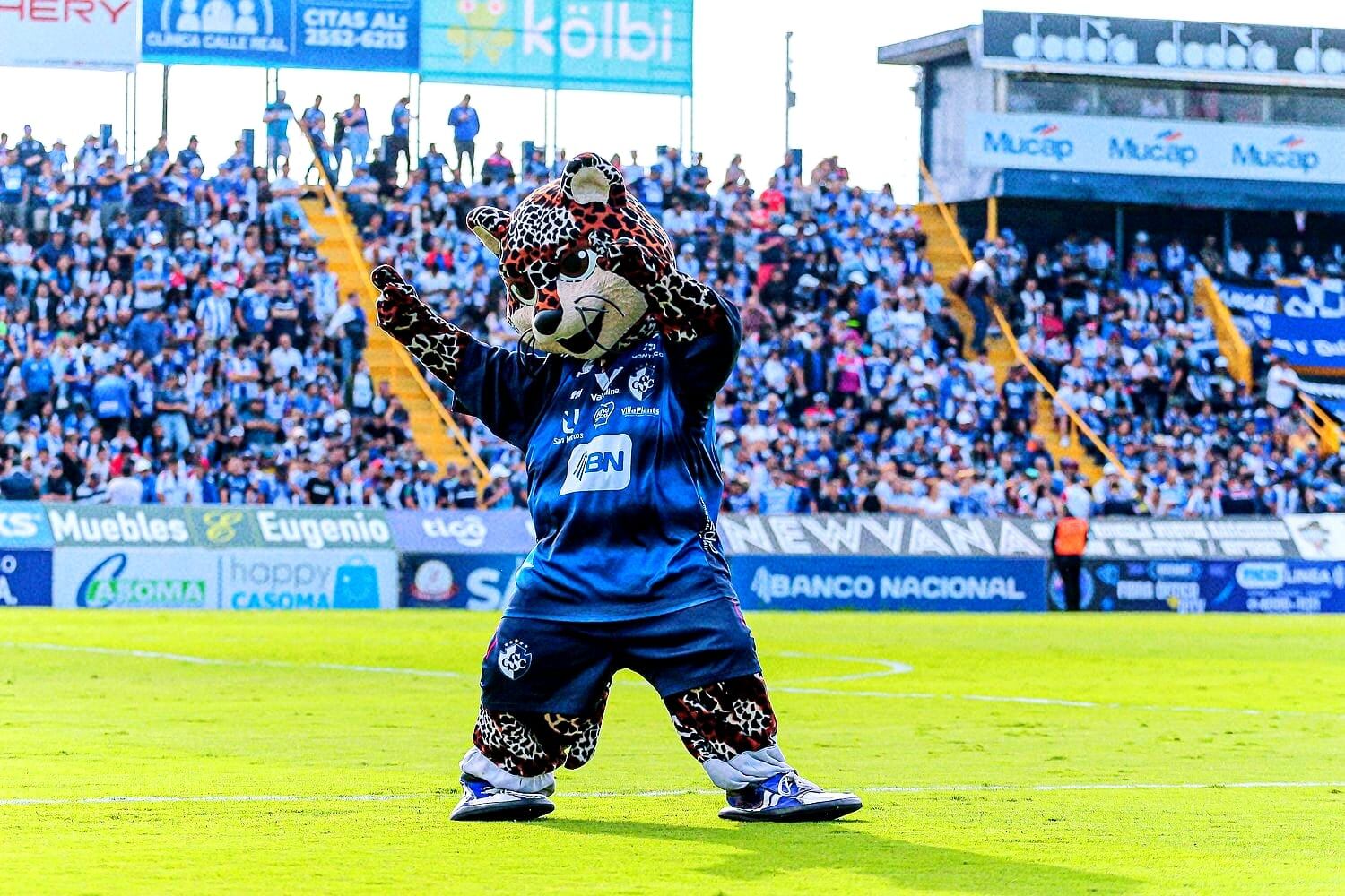 Max, la mascota del Cartaginés, se sale de lo habitual y le gusta bailar, montar bicicleta y animar a los aficionados en el Fello Meza.