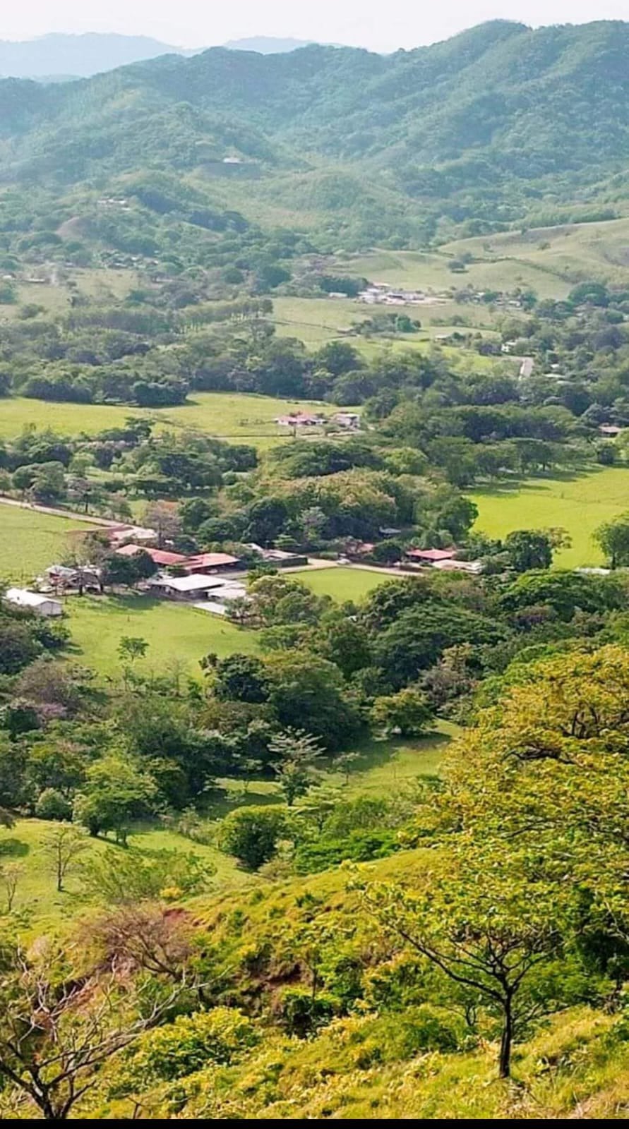 A 15 kilómetros del centro de Nicoya, en Guanacaste, hay un pueblito de no más de 500 personas, se llama Gamalotal y ahí vive Marvin Herrera Baltodano, un joven soñador que logró la tercera mejor nota en el examen de admisión 2026 de la UCR