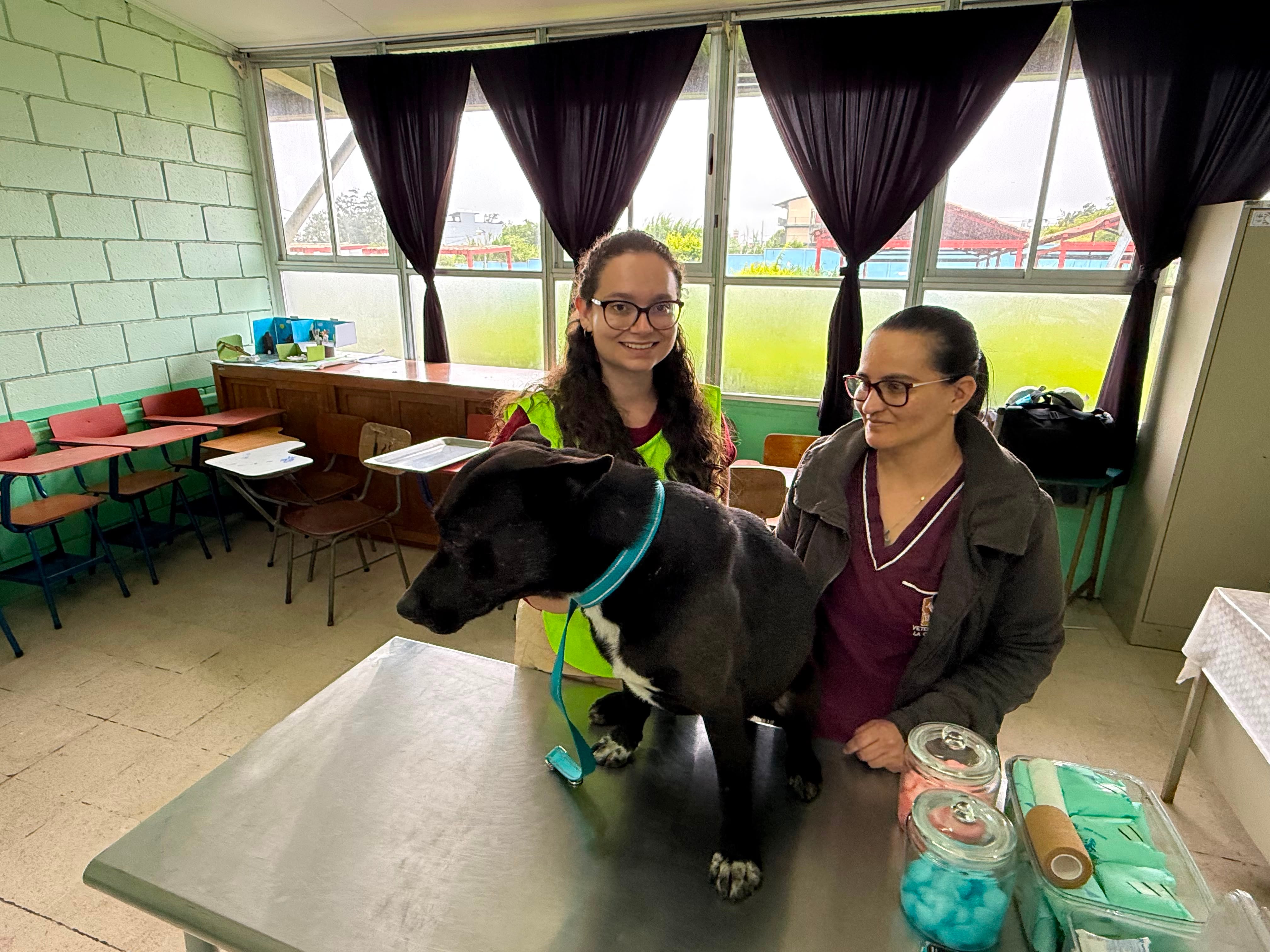 Negro, el primer perro rescatado cerca de la basílica de Cartago, busca adopción tras recibir atención. En la foto, Monserrat Ibarra (izquierda) y la veterinaria, Paulina Brenes están con Negro, el Romerito 1.