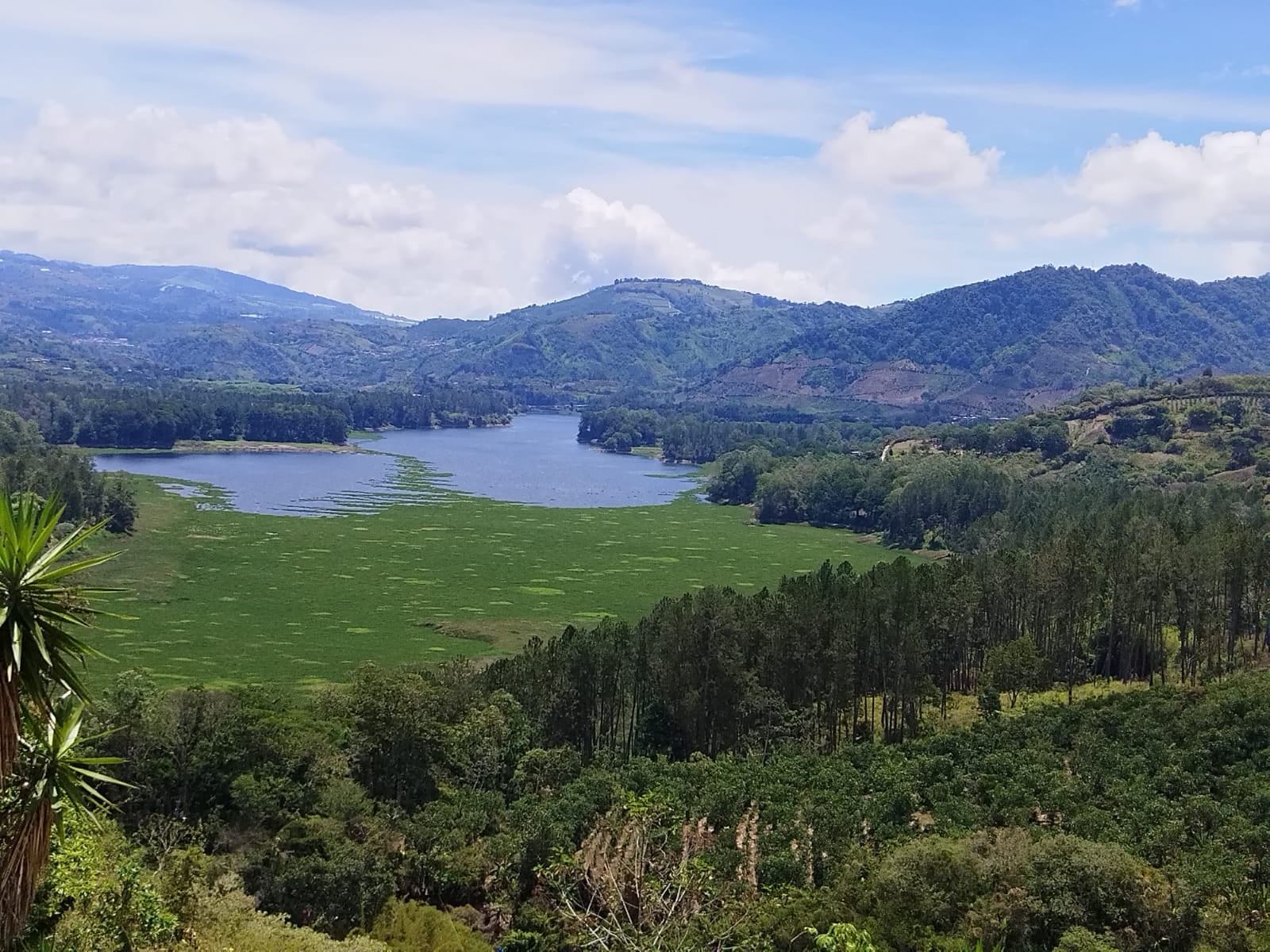 (Foto:Caminando entre amigos)