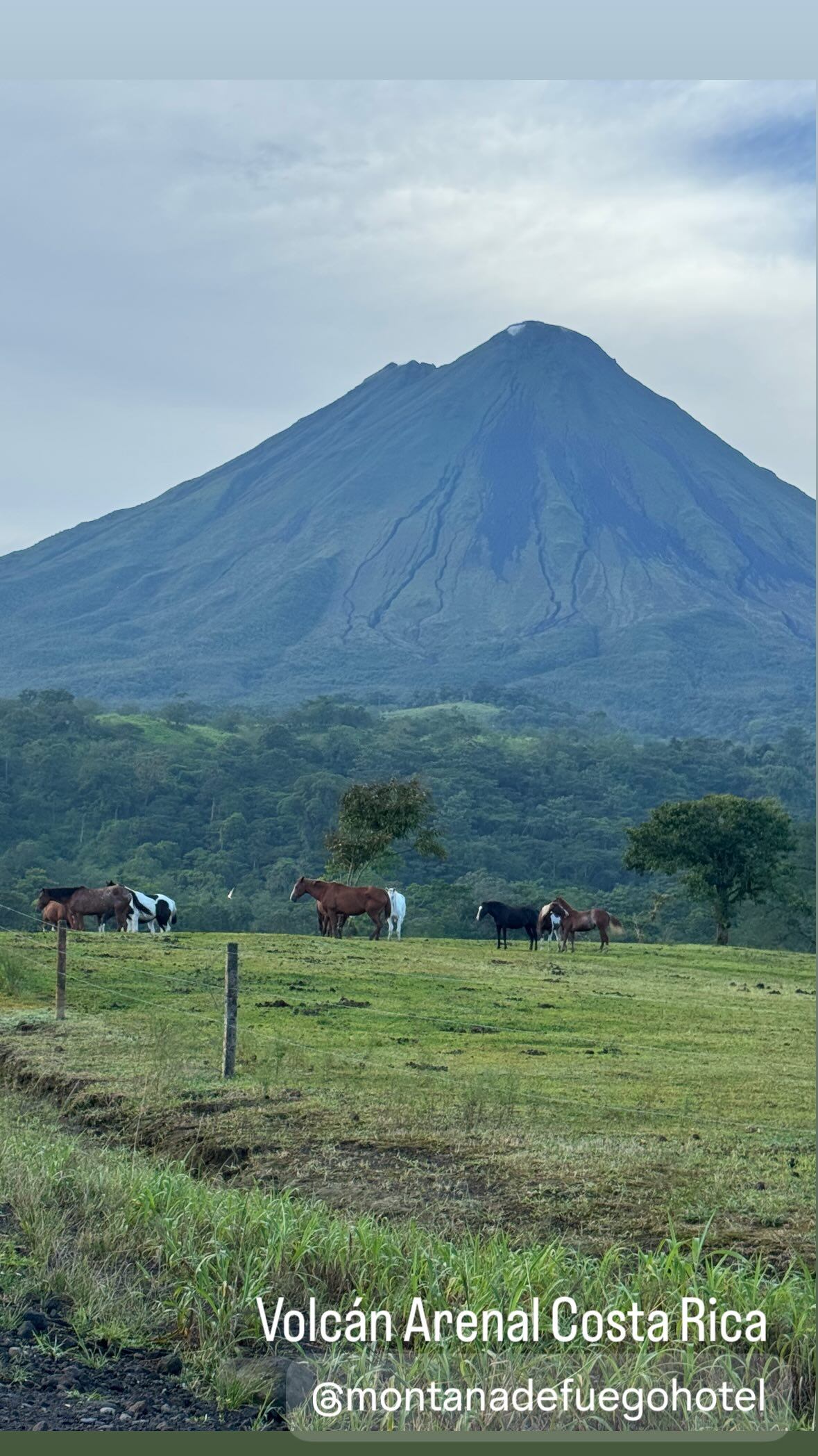 Vica Andrade, expresentadora de televisión.
