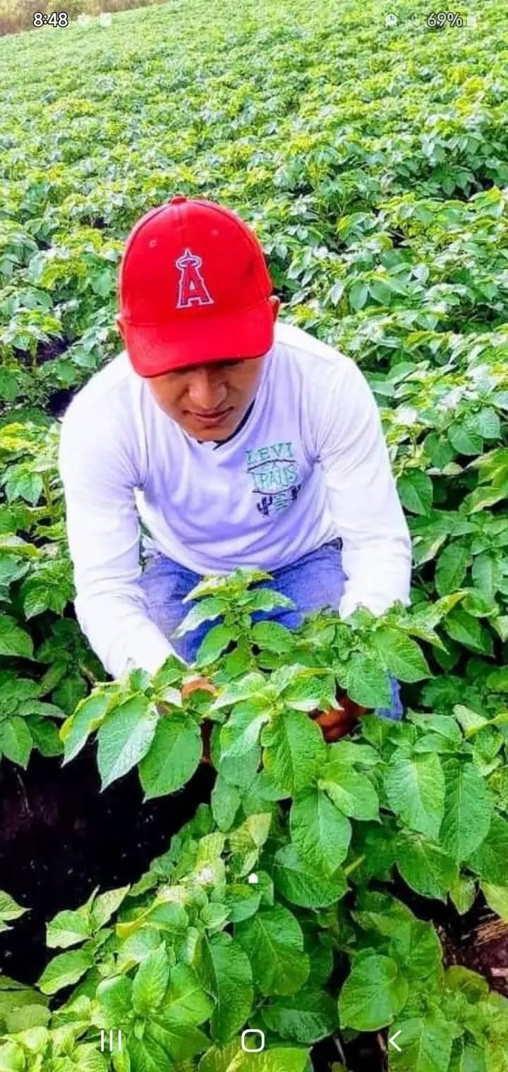 Alexander Cano dejó Nicaragua con un título de ingeniero agrónomo bajo el brazo y apenas el dinero para el pasaje. En Costa Rica aceptó cualquier trabajo honrado hasta volver a ejercer su profesión