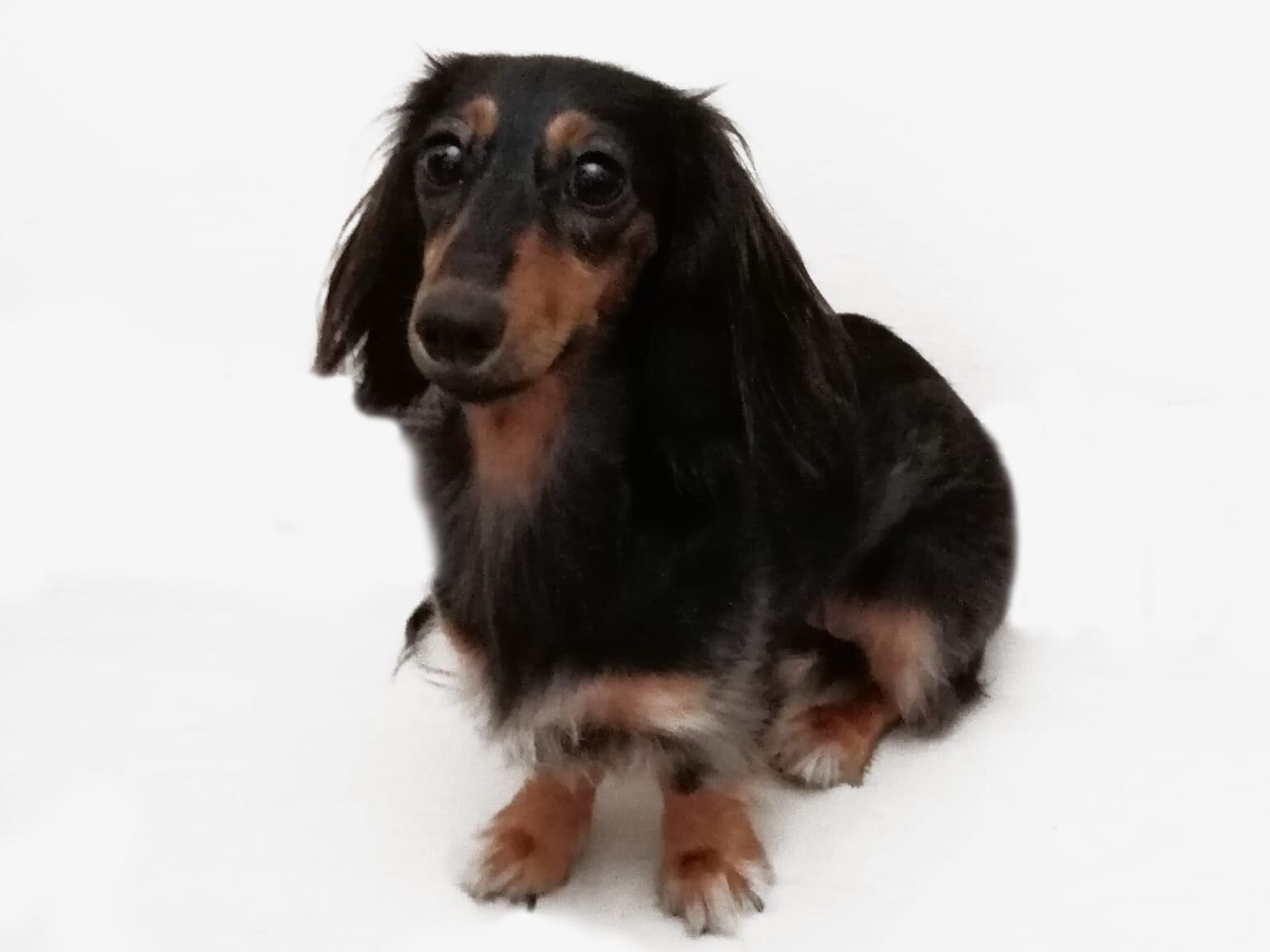 Otti está perdida desde el pasado 22 de mayo.