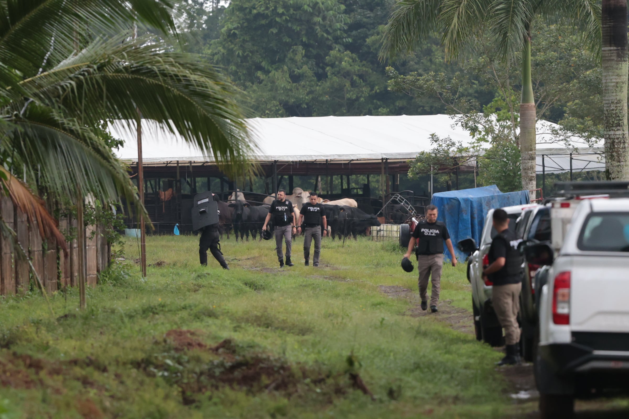 14/10/2025/ Allanamiento caso Ligia Faerron en San Carlos / foto John Durán