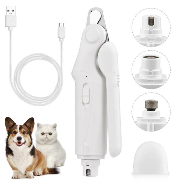 Artículos tecnológicos para perros.