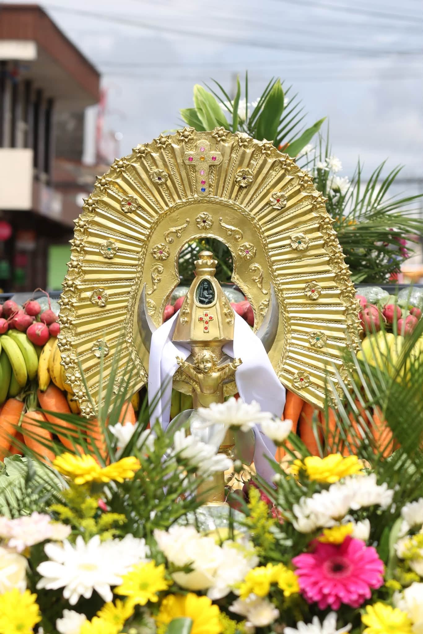 La Pasada de La Negrita de la basílica de nuestra señora de los Ángeles a la catedral nuestra señora del Carmen se celebra desde 1782