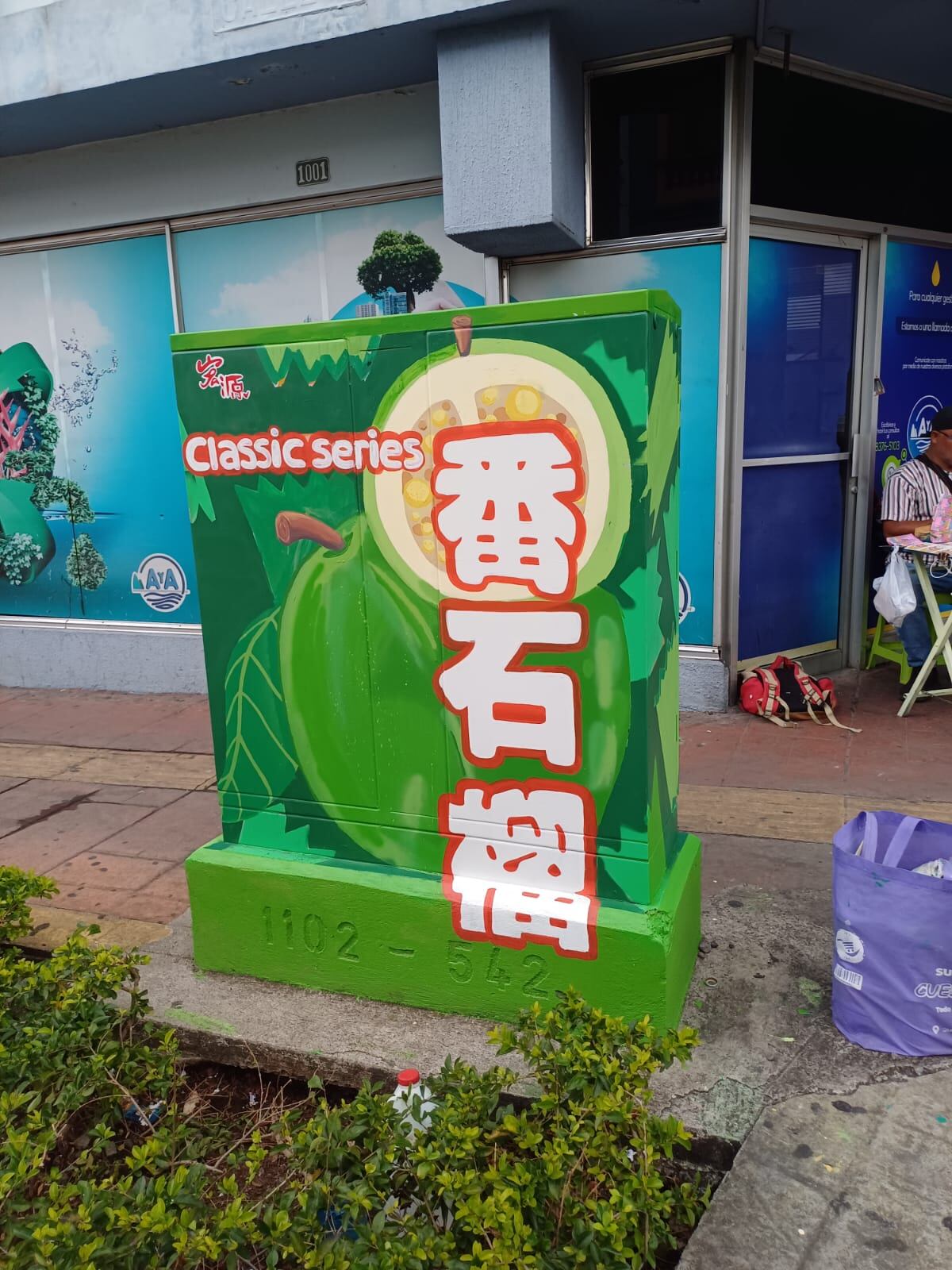 Las paredes de San José la vieron crecer y ahora las de Hong Kong serán su próximo lienzo. Diana Gabriela Morales Soto, vecina de Barrio La Cruz y conocida en el mundo artístico como “Ravs”, tiene apenas 24 años y ya se prepara para representar a Costa Rica en uno de los festivales de muralismo más importantes del planeta: Meeting of Styles (Encuentro de Estilos).