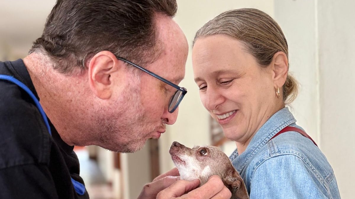 Eli Feinzaig candidato presidencial de Costa Rica por el Partido Liberal Progresista recibió una grata noticia a una semana del fatal accidente en el que murió su asesora Ericka Benavides, de 56 años en Palmares. Foto: PLP