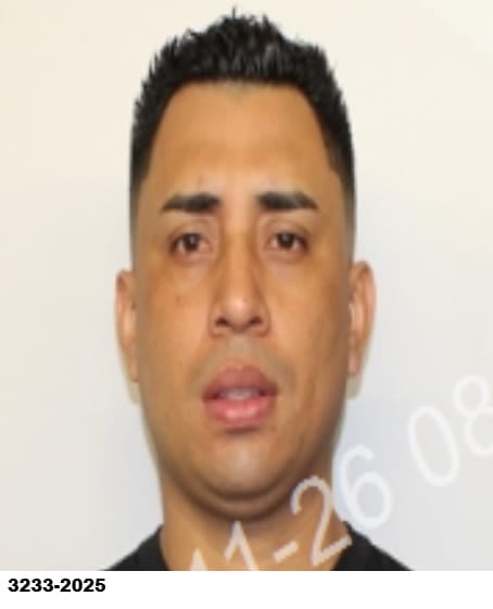 Luis David Treminio Gómez