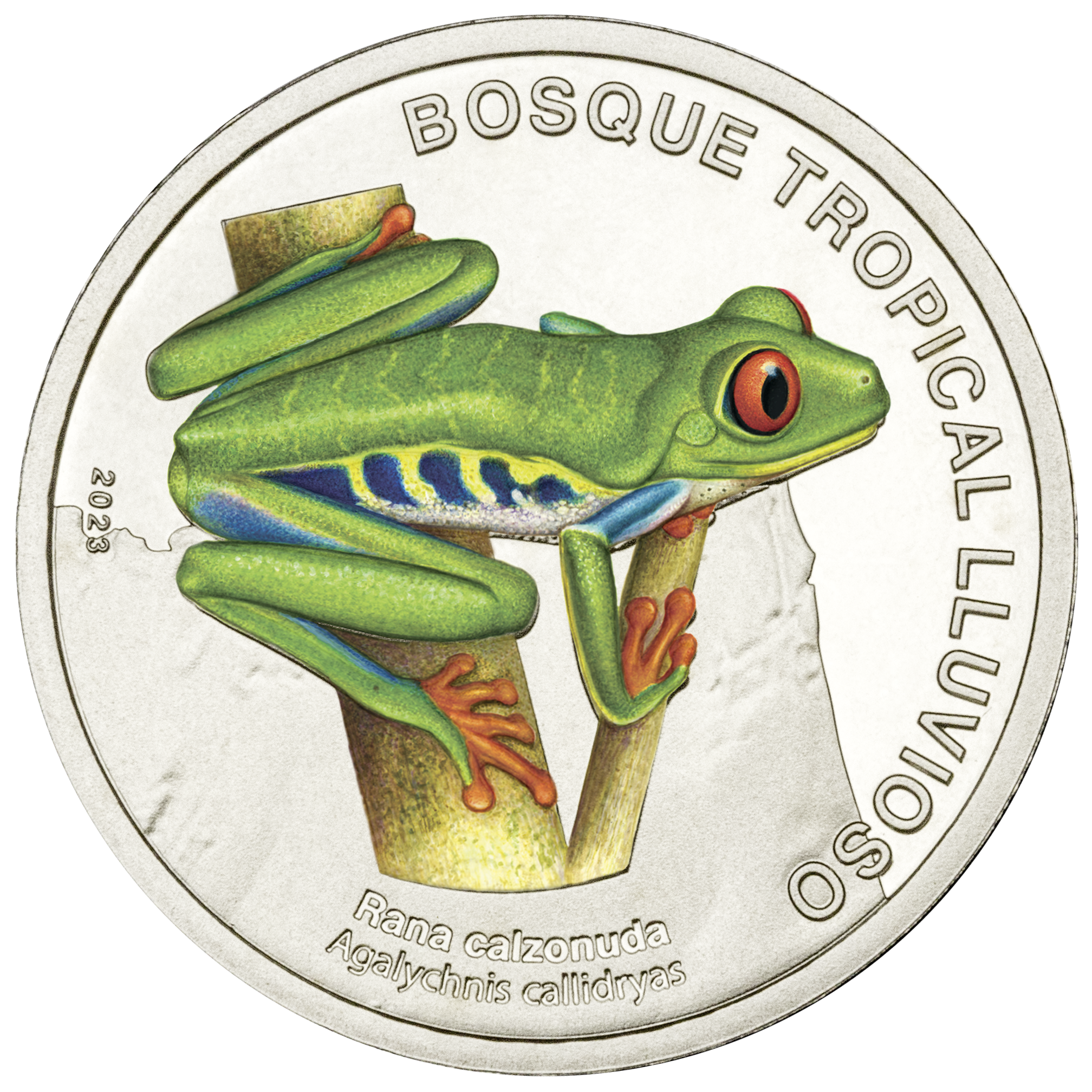 Ya están en circulación las nuevas monedas de media tejita que están super corrongas porque tienen diseños hermosos que destacan la gran riqueza natural de nuestro país. La nueva colección, denominada “Fauna de los ecosistemas”, consta de 6 piezas (monedas) para presentar especies de nuestra biodiversidad: la mariposa morfo (bosque tropical nuboso), la rana calzonuda (bosque tropical lluvioso), la tortuga carey (arrecife coralino), la lagartija o anolis (bosque tropical seco), el cangrejo marinera (manglar) y el conejo de monte (páramo)”.