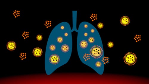 virus respiratorios