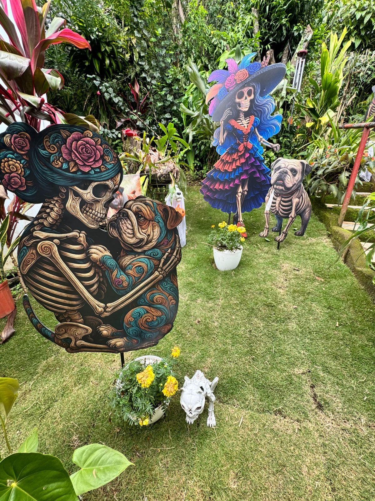 En Santa Bárbara de Heredia vive la amorosa doña Gina Varga, una mujer que lleva 15 años dedicando su vida al rescate de perros en Costa Rica. Este 2025 hizo un super altar para perritos en el cual está por primera vez Brisa, su amada perrita que falleció