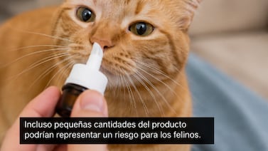 ¿Usa minoxidil? Mucho cuidado si tiene perros o gatos porque podría ponerlos en grave peligro