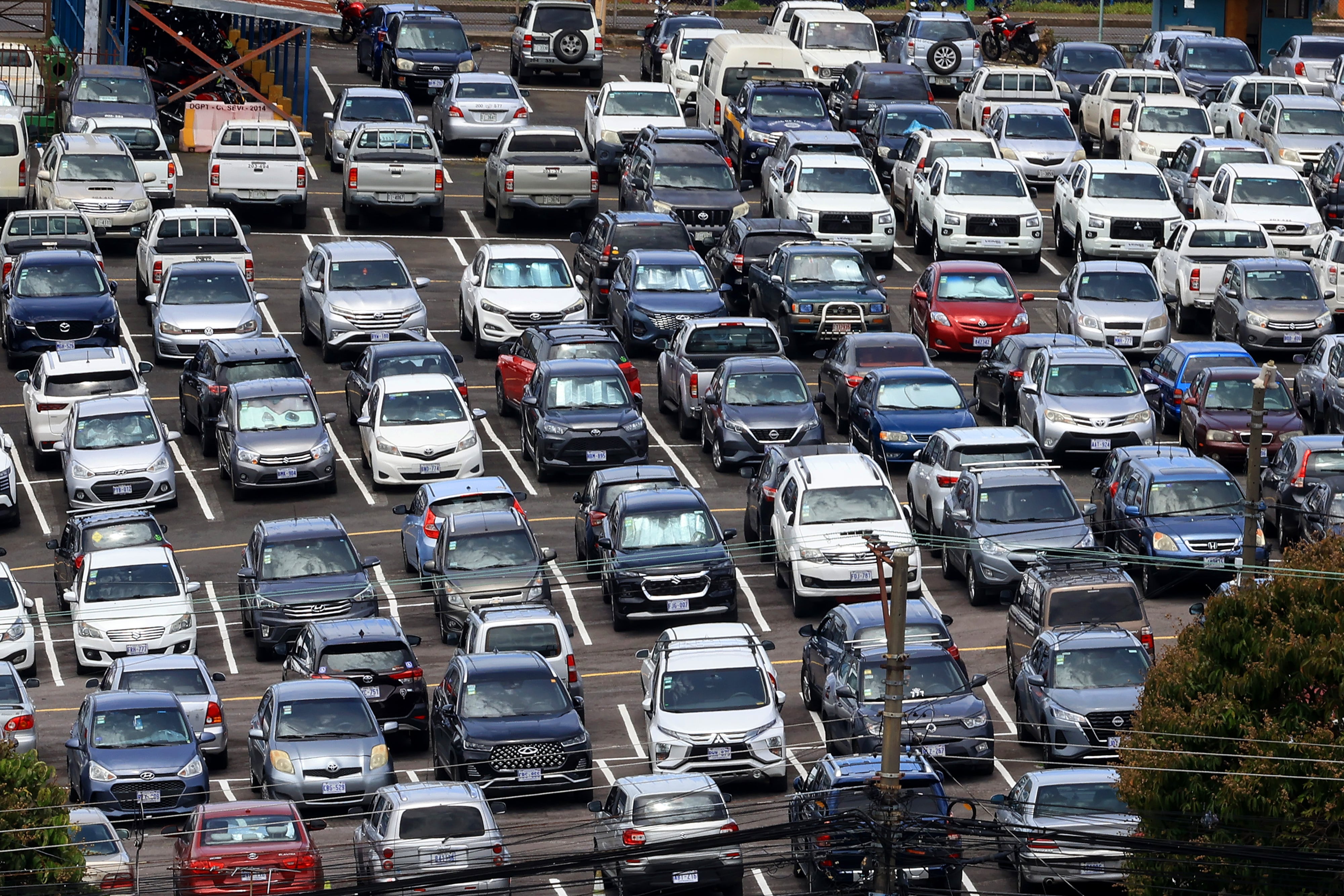 Gasolina, marchamo, vehículos