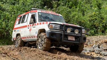 Niño de tres años quedó grave debido a golpazo que recibió de un enorme animal