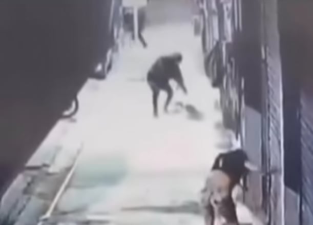 Una cámara grabó el brutal ataque.