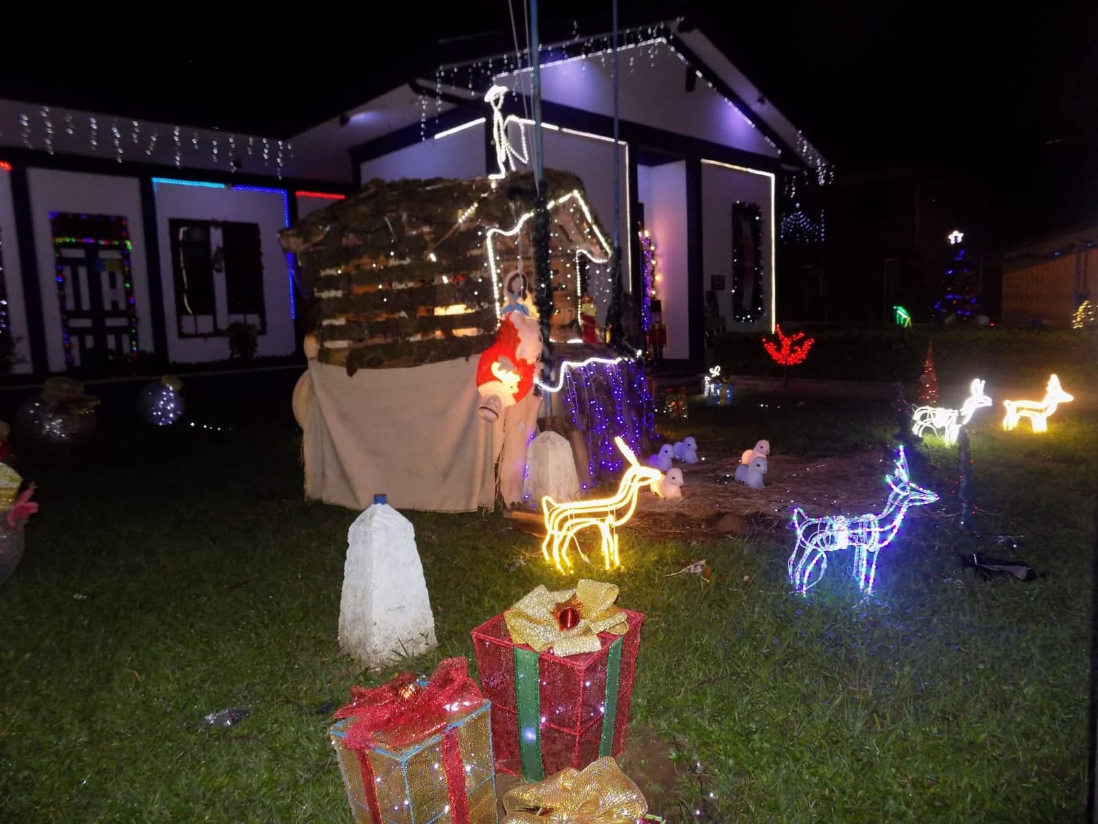 En San Rafael de Heredia, hay un tico que no espera a diciembre para sentir la Navidad. Davis Jesús Rodríguez Hernández, de 37 años, padece autismo y epilepsia, pero eso nunca le ha impedido vivir con ilusión la época más linda del año