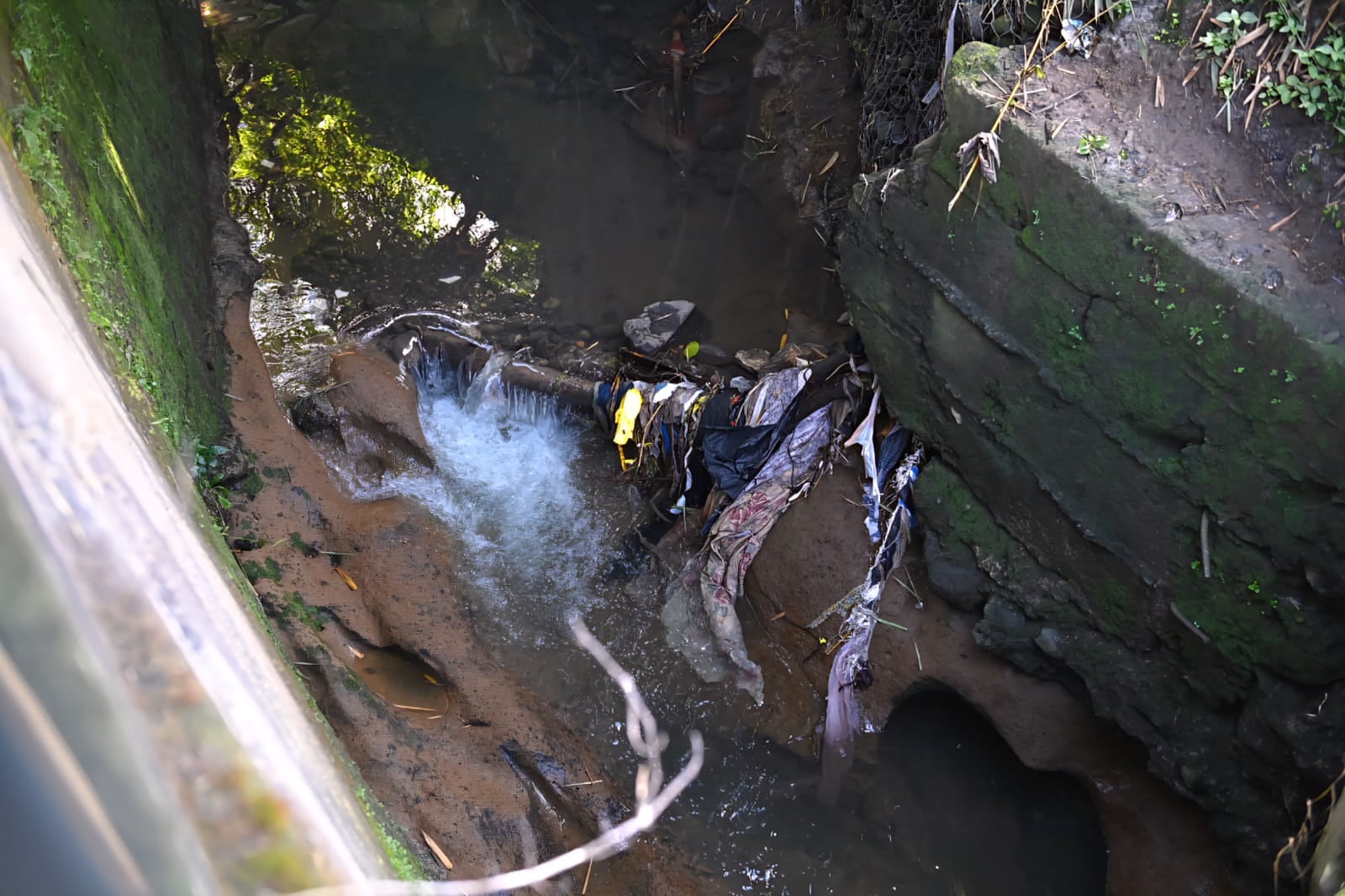 Seguimiento caso de Leandro Mangas. Foto Albert Marín.