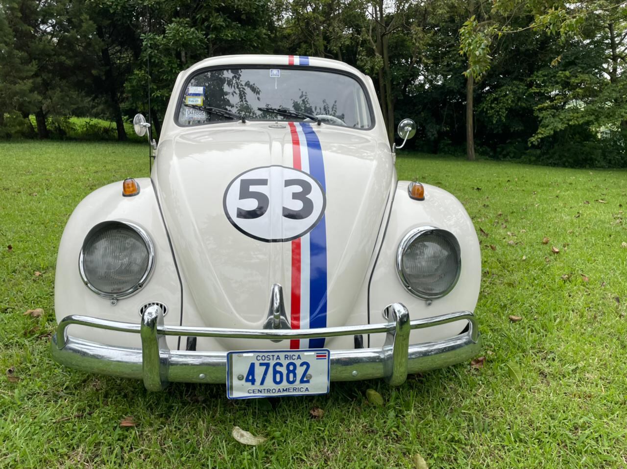 Maximiliano Peralta y Mariano Peralta, herbie, vollkswagen, vocho