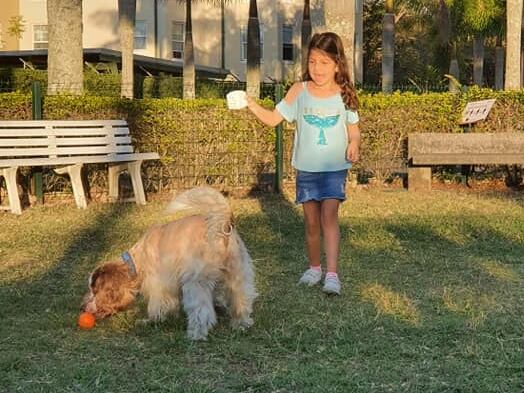 nueva campaña del Colegio de Veterinarios de Costa Rica, el cual propone educar a los dueños de perros para que conozcan el significado de los 7 colores en collares, tal y como se utiliza internacionalmente. En la foto Pepe.