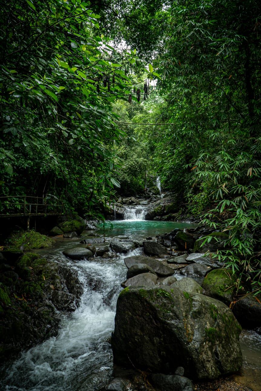 Mariposas, senderos y mucho más lo esperan en mágica catarata por dos mil colones.