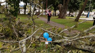 Comunidad abrazó a familia de niño que murió al caerle árbol con altar y oración