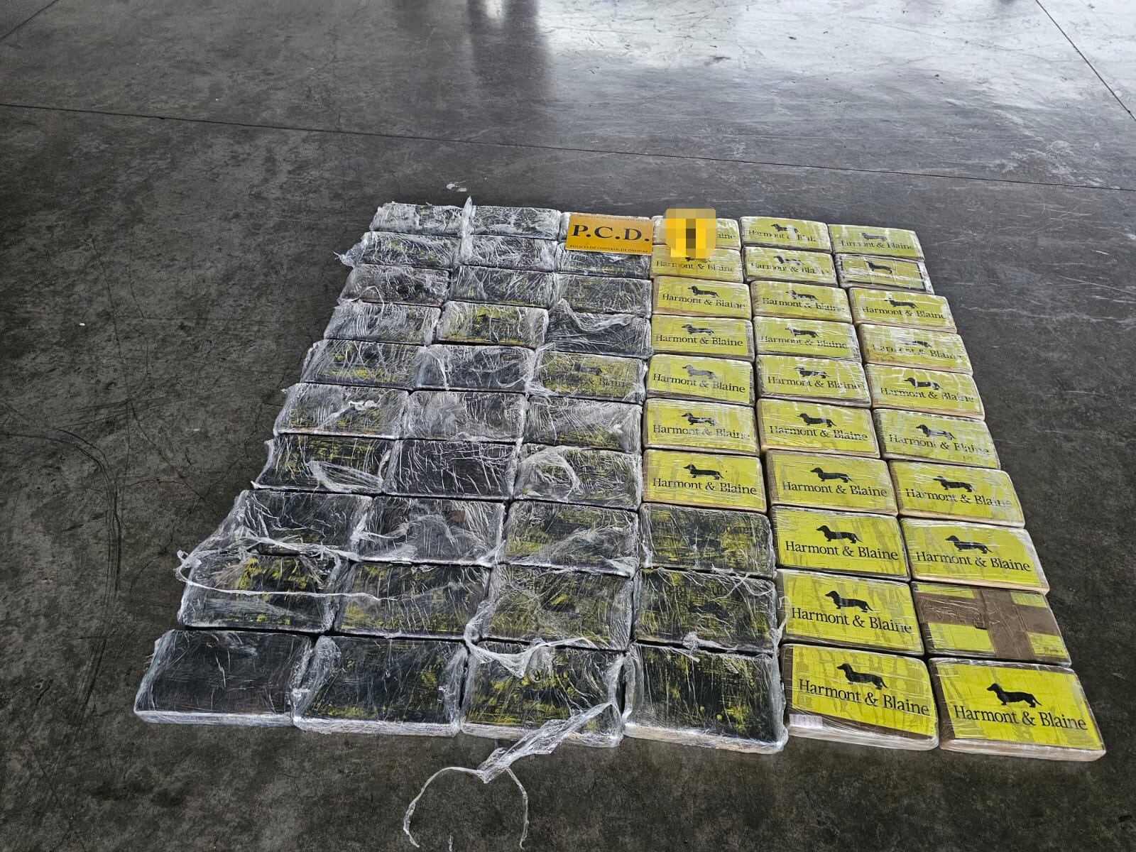 Decomisan 60 kilos de cocaína dentro de contenedor en terminal de contenedores en Moín.