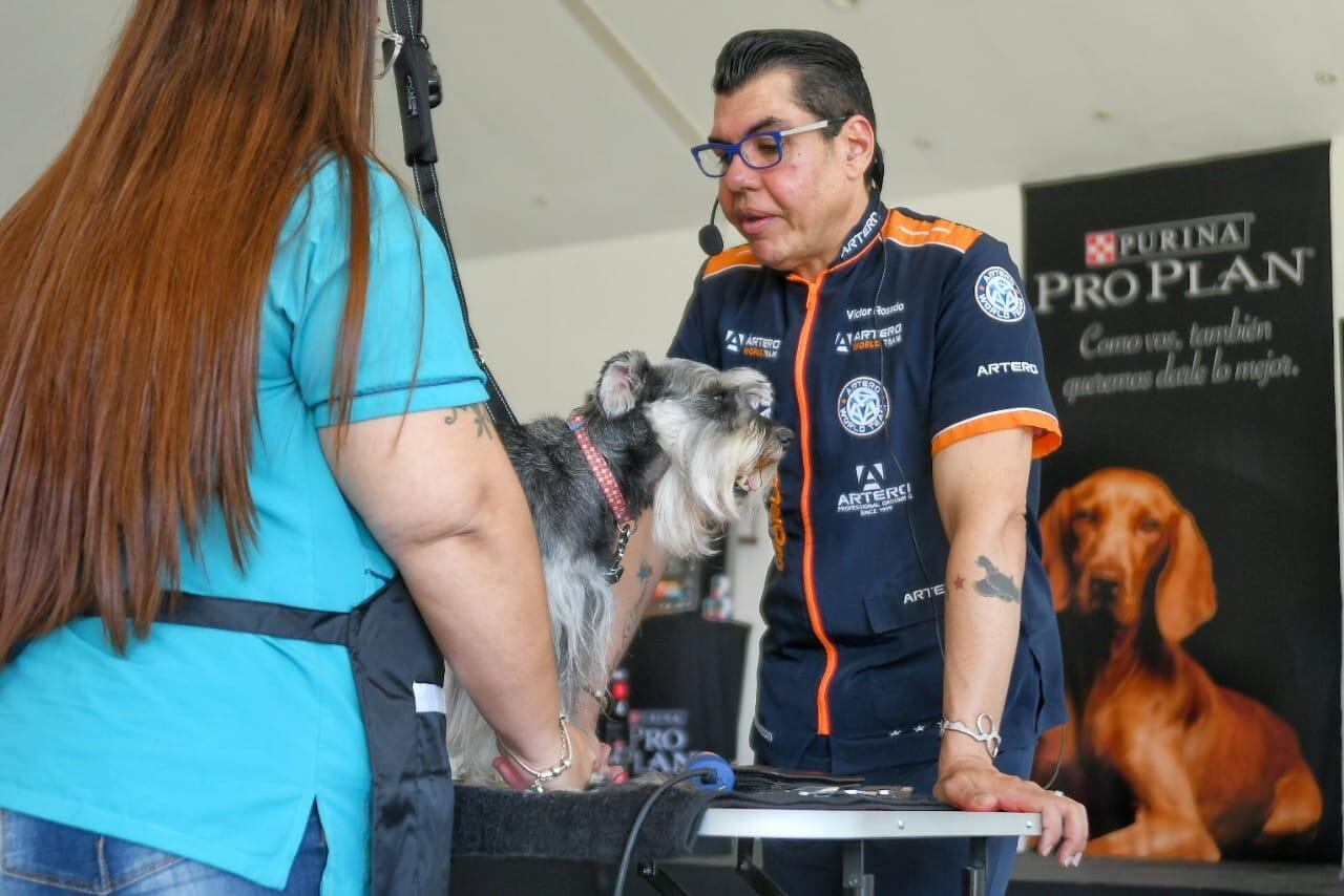 Víctor Rosado, Máster Groomer Internacional y Campeón Mundial en Peluquería, visitó nuestro país para brindar una capacitación práctica, sobre técnicas y tendencias en grooming (corte de pelo para perros), a 20 groomers (peluqueros de perros) nacionales elegidos por el programa de educación continua de la marca de comida para mascotas, Purina.