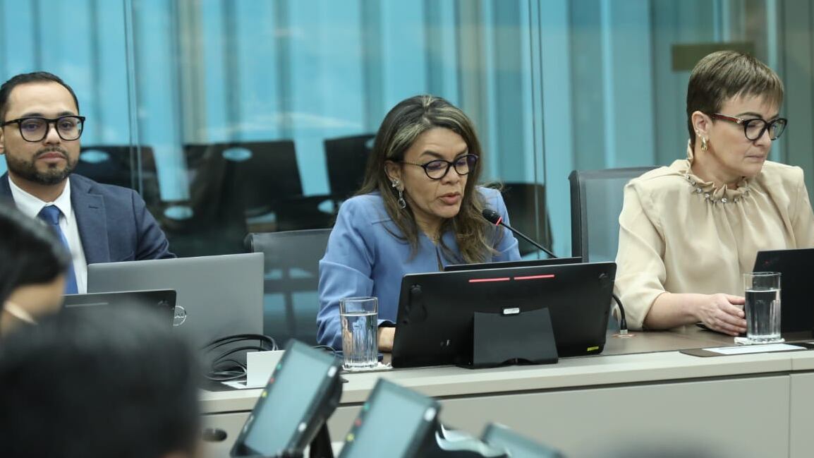 Sofía Machuca, auditora del ICE, compareció en la Asamblea Legislativa