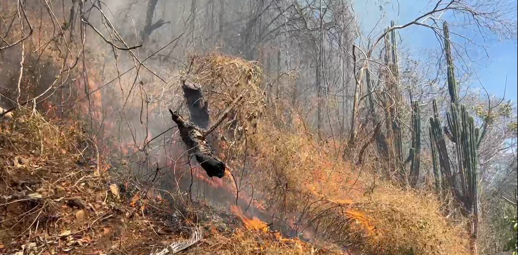 Bomberos señaló que la premura del incendio los impulsó a intervenir de manera rápida, logrando evitar que las llamas alcanzaran una estructura de vivienda cercana .