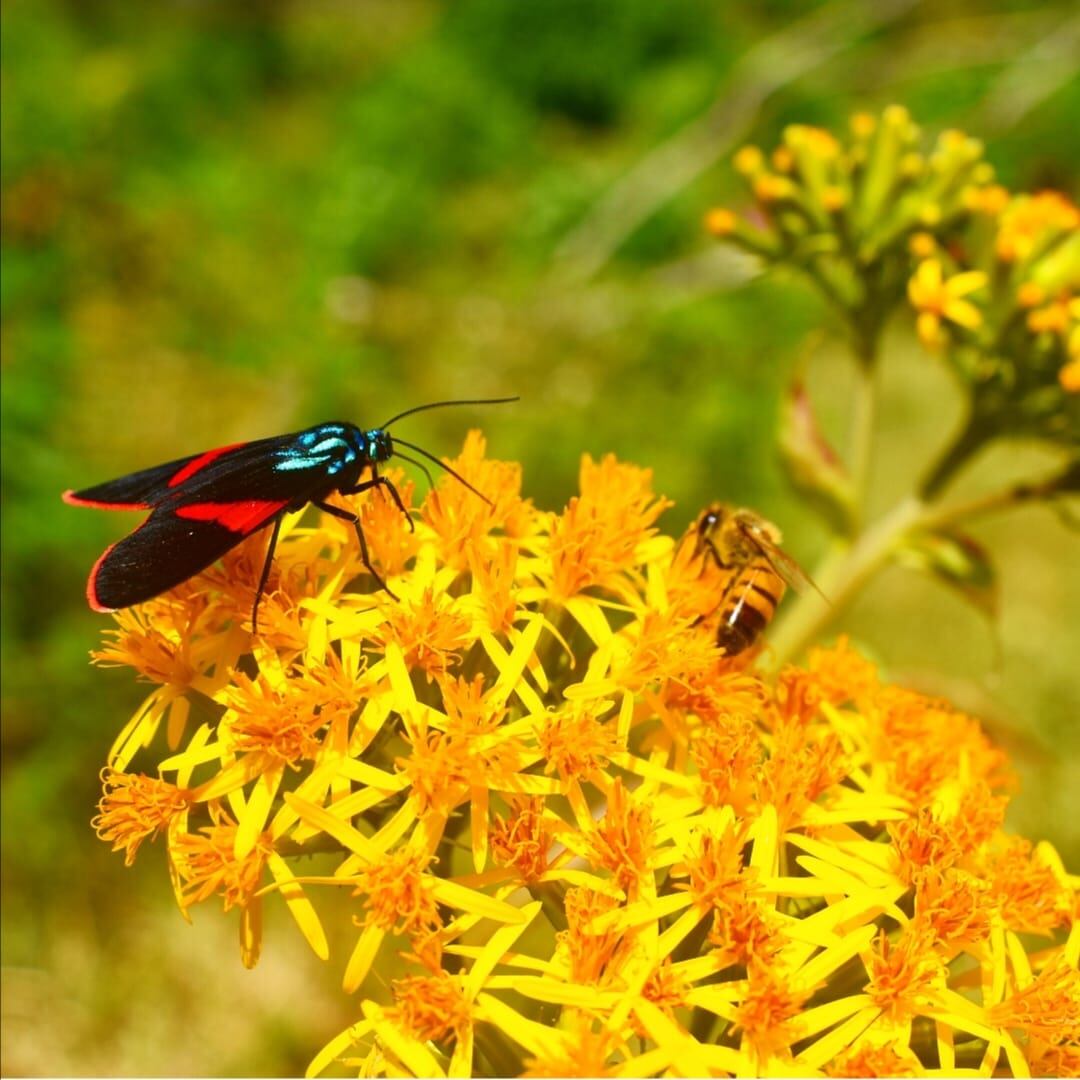 Disfrute en familia. Foto Cortesía