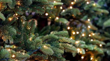 Vecinos colocan árbol de Navidad para evitar accidentes en transitada vía