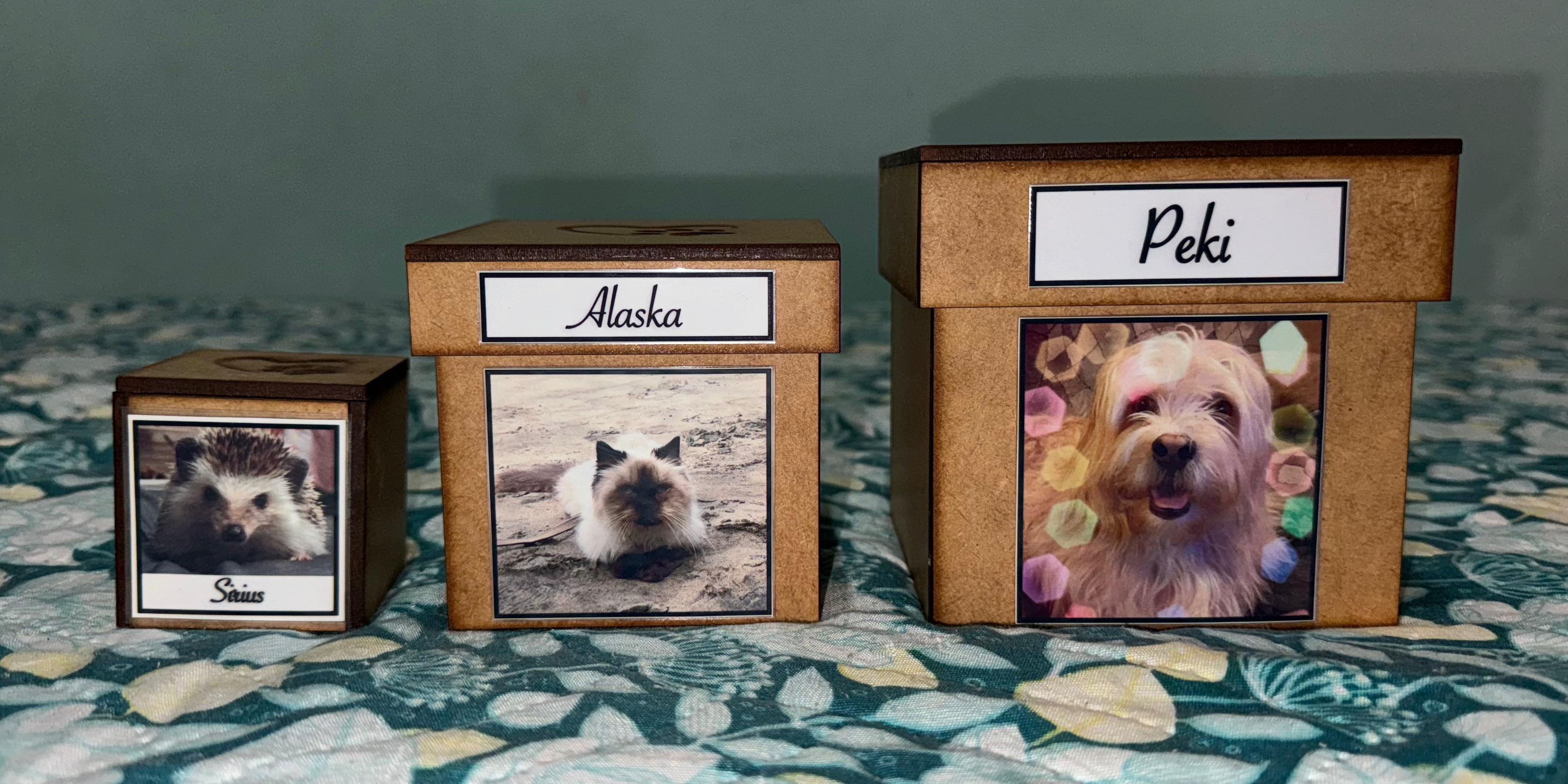 Las cenizas de Sirius, Alaska y Pequeñín serán puestas en un altar que Nazareth espera hacer con su madre. Cortesía.