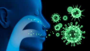 ¿Cuáles son los síntomas del Subclado K, la nueva variante de influenza A?