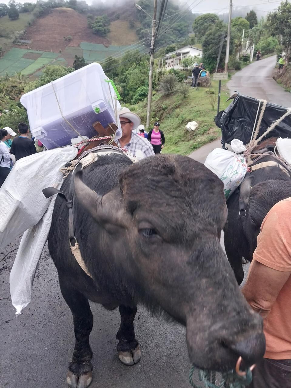 Este sábado 12 de abril, a vísperas del inicio de la Semana Santa, la comunidad católica alajueliteña realizó un viacrucis hasta uno de los emblemas más representativos que tienen, la cruz.