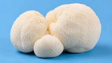 Este es el alimento que podría ayudar a regenerar neuronas y fortalecer la memoria