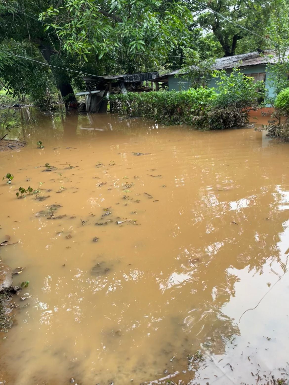 En El Guabo de Santa Cruz de Guanacaste ya no llueve, pero aún hay bastante agua acumulada en los suelos. Foto: Cortesía para La Teja