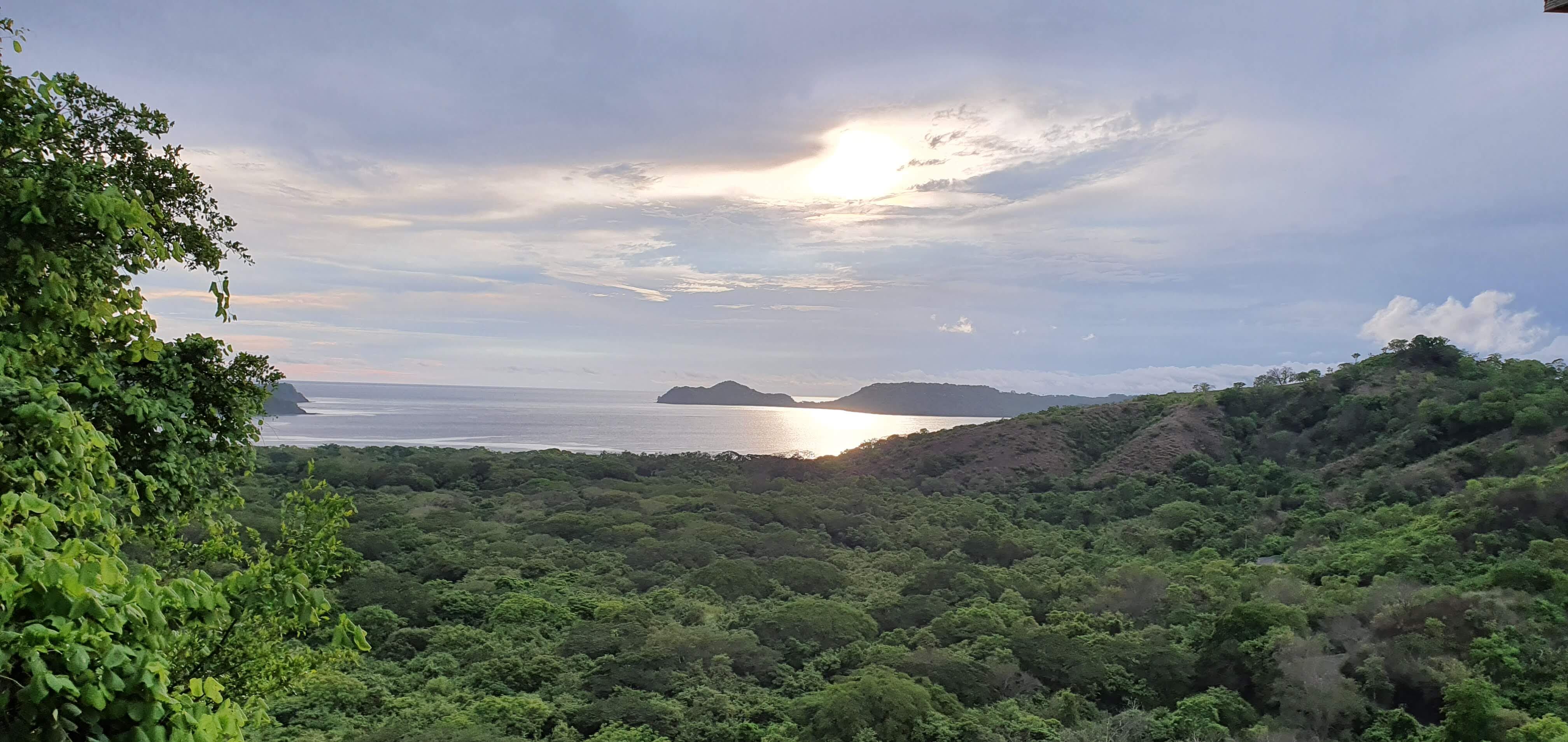 Vista de parte de los bosques localizados en la zona de Playa Panamá en Carrillo (Guanacaste). Fotografía: