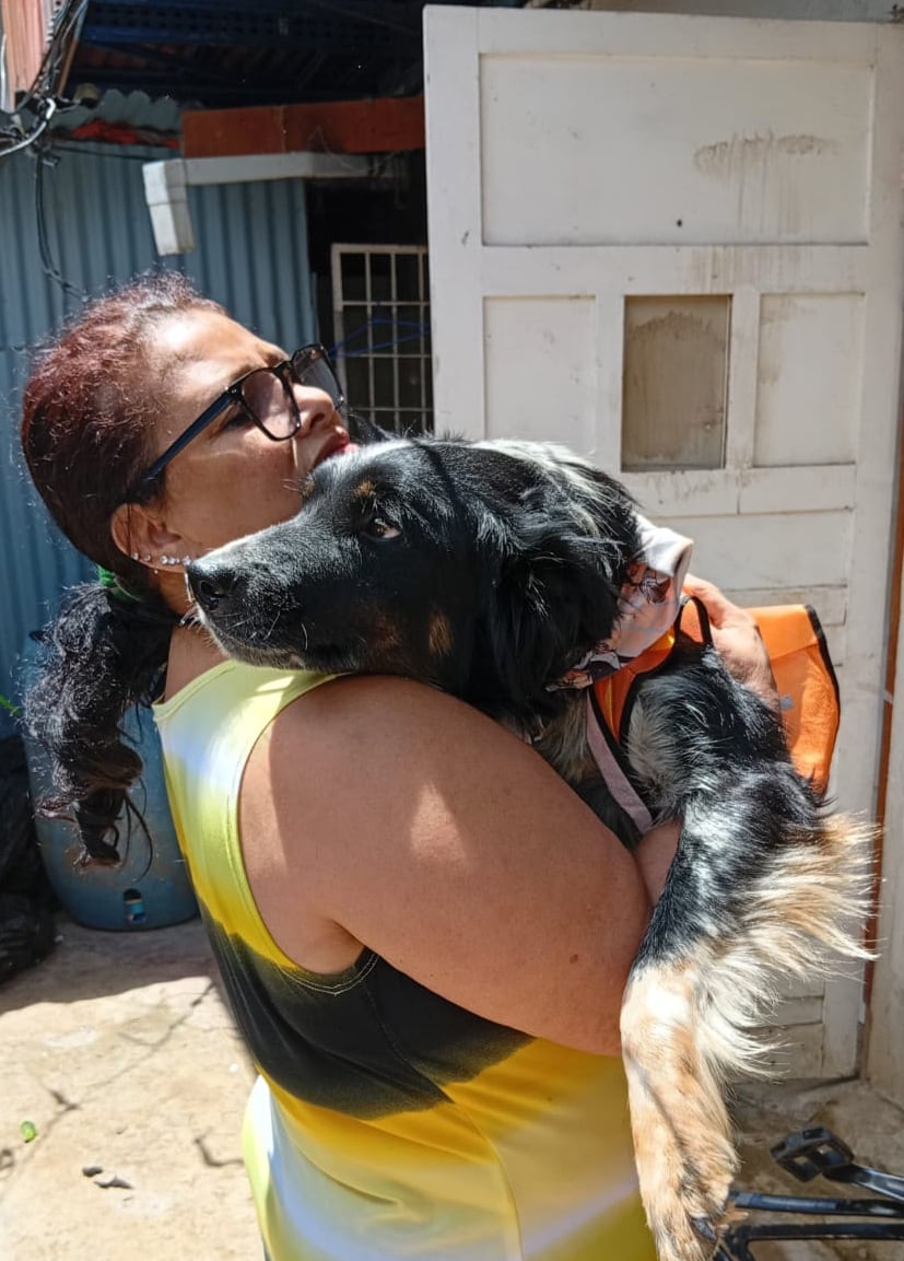 Otto fue rescatado durante la Romería del 2025 y adoptado ese mismo 2 de agosto por la familia de doña Nancy Sánchez, quien asegura que la Virgencita de los Ángeles se lo puso en el camino.